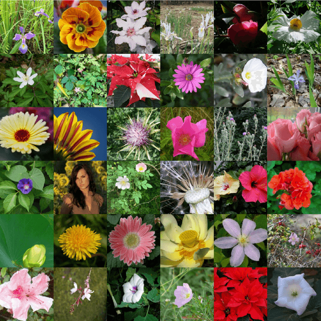 Figure 2 for DeepFlorist: Rethinking Deep Neural Networks and Ensemble Learning as A Meta-Classifier For Object Classification