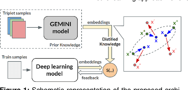 Figure 1 for A metric learning approach for endoscopic kidney stone identification