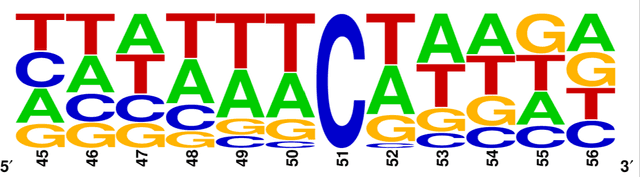 Figure 3 for F5C-finder: An Explainable and Ensemble Biological Language Model for Predicting 5-Formylcytidine Modifications on mRNA