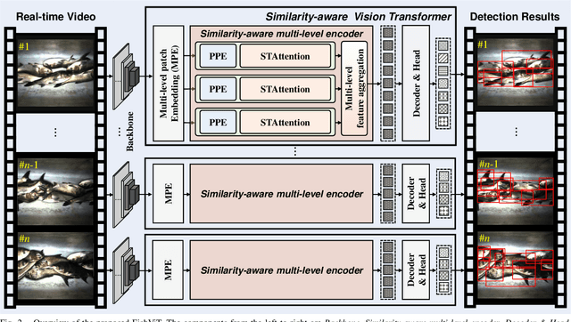 Figure 2 for Intelligent Fish Detection System with Similarity-Aware Transformer
