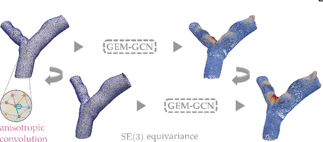 Figure 1 for Mesh Neural Networks for SE(3)-Equivariant Hemodynamics Estimation on the Artery Wall