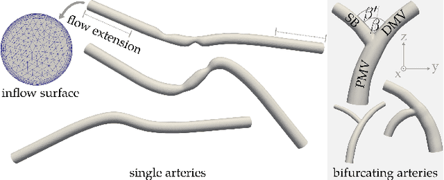 Figure 2 for Mesh Neural Networks for SE(3)-Equivariant Hemodynamics Estimation on the Artery Wall