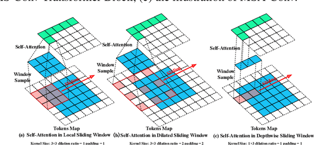 Figure 3 for TiC: Exploring Vision Transformer in Convolution