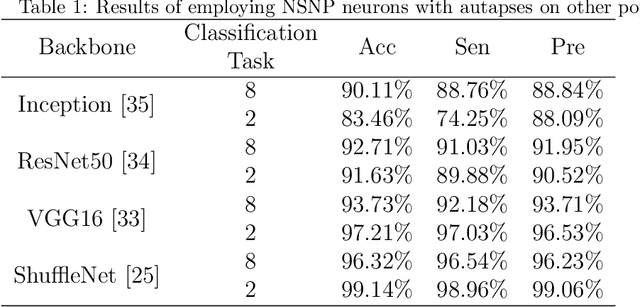 Figure 2 for Multi-stages attention Breast cancer classification based on nonlinear spiking neural P neurons with autapses