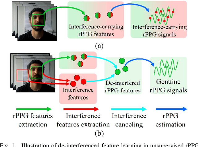 Figure 1 for DD-rPPGNet: De-interfering and Descriptive Feature Learning for Unsupervised rPPG Estimation