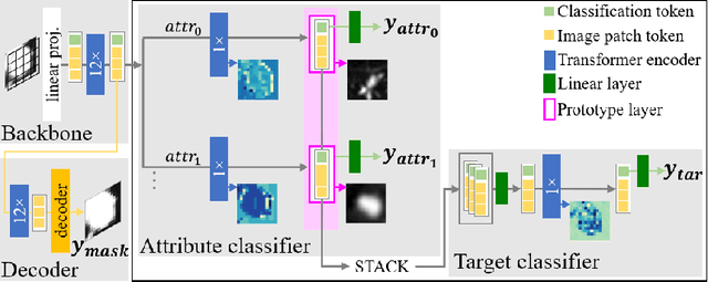 Figure 1 for Hierarchical Vision Transformer with Prototypes for Interpretable Medical Image Classification