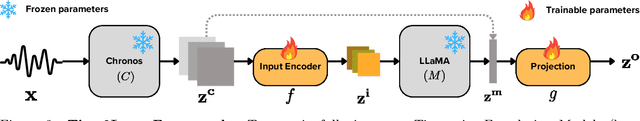 Figure 4 for Beyond Prompting: Time2Lang -- Bridging Time-Series Foundation Models and Large Language Models for Health Sensing