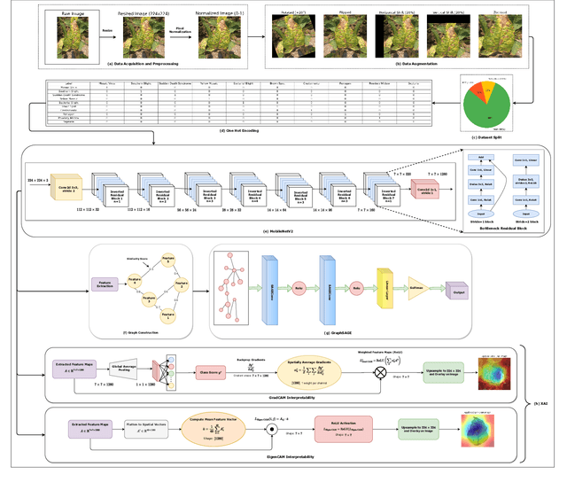 Figure 1 for Soybean Disease Detection via Interpretable Hybrid CNN-GNN: Integrating MobileNetV2 and GraphSAGE with Cross-Modal Attention