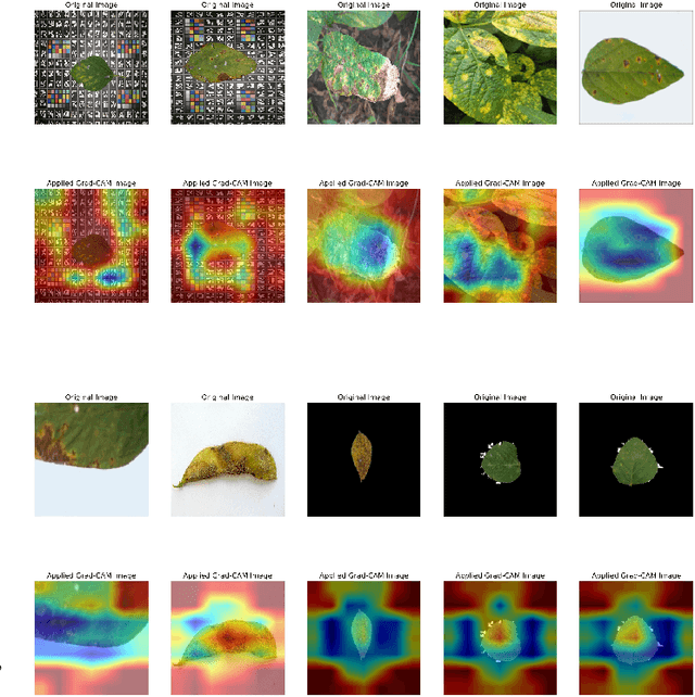 Figure 2 for Soybean Disease Detection via Interpretable Hybrid CNN-GNN: Integrating MobileNetV2 and GraphSAGE with Cross-Modal Attention