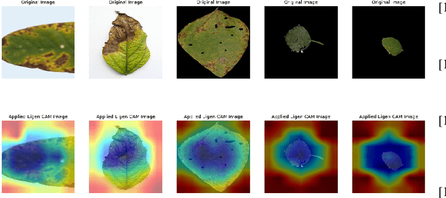 Figure 3 for Soybean Disease Detection via Interpretable Hybrid CNN-GNN: Integrating MobileNetV2 and GraphSAGE with Cross-Modal Attention