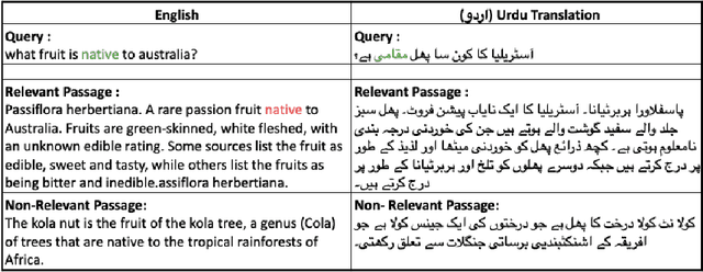 Figure 1 for Enabling Low-Resource Language Retrieval: Establishing Baselines for Urdu MS MARCO