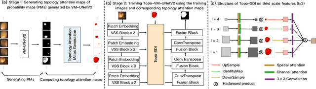 Figure 2 for Topo-VM-UNetV2: Encoding Topology into Vision Mamba UNet for Polyp Segmentation