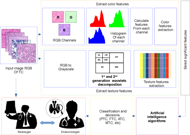Figure 3 for AI in Thyroid Cancer Diagnosis: Techniques, Trends, and Future Directions