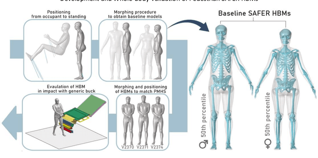 Figure 1 for Development and Whole-Body Validation of Personalizable Female and Male Pedestrian SAFER Human Body Models
