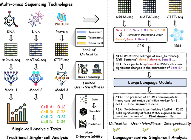 Figure 1 for CellVerse: Do Large Language Models Really Understand Cell Biology?