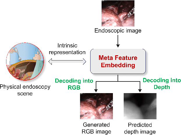 Figure 1 for MetaFE-DE: Learning Meta Feature Embedding for Depth Estimation from Monocular Endoscopic Images