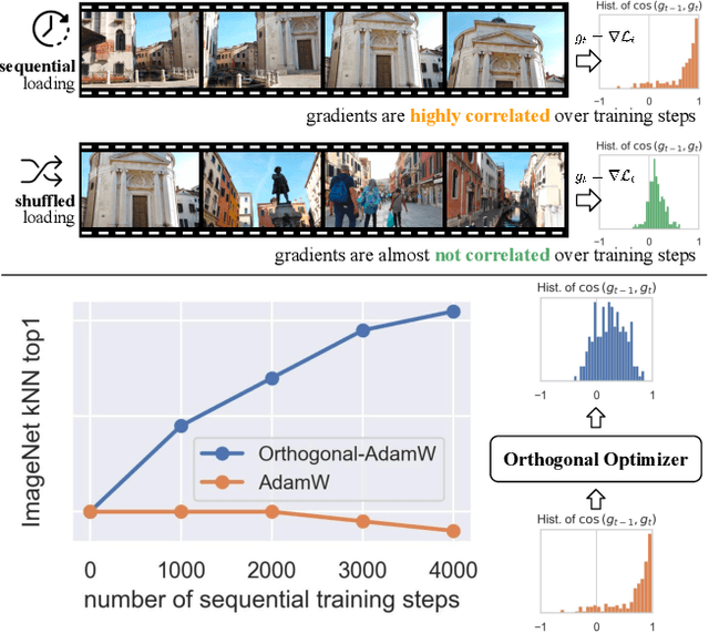 Figure 1 for Learning from Streaming Video with Orthogonal Gradients