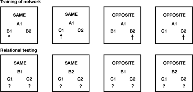 Figure 1 for Arbitrarily Applicable Same/Opposite Relational Responding with NARS
