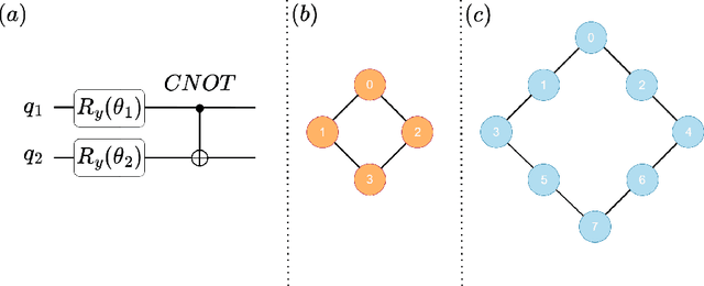 Figure 3 for Distilling Knowledge into Quantum Vision Transformers for Biomedical Image Classification