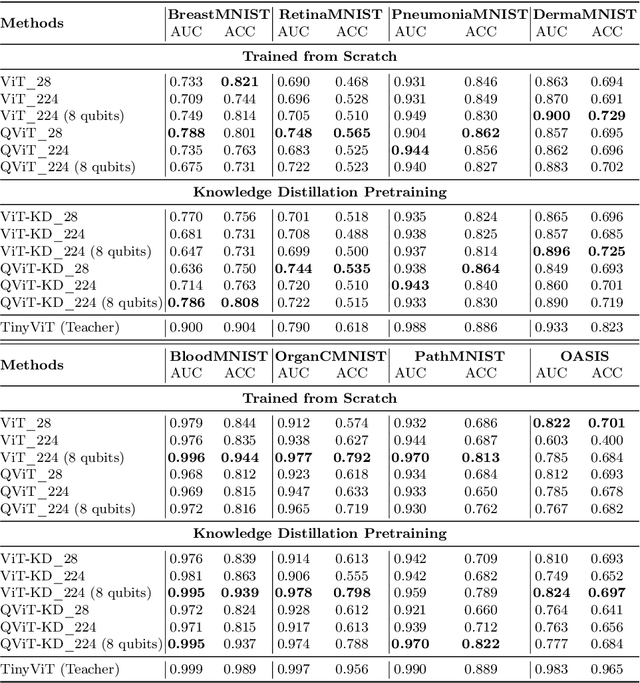 Figure 4 for Distilling Knowledge into Quantum Vision Transformers for Biomedical Image Classification
