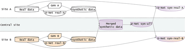 Figure 1 for Hyperparameter-Free Medical Image Synthesis for Sharing Data and Improving Site-Specific Segmentation