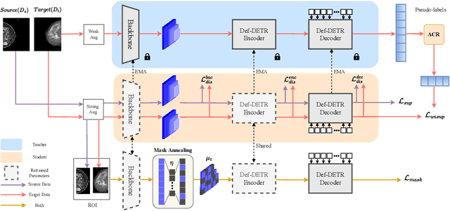 Figure 3 for D-MASTER: Mask Annealed Transformer for Unsupervised Domain Adaptation in Breast Cancer Detection from Mammograms