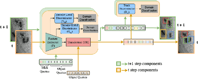 Figure 3 for Tracking Different Ant Species: An Unsupervised Domain Adaptation Framework and a Dataset for Multi-object Tracking