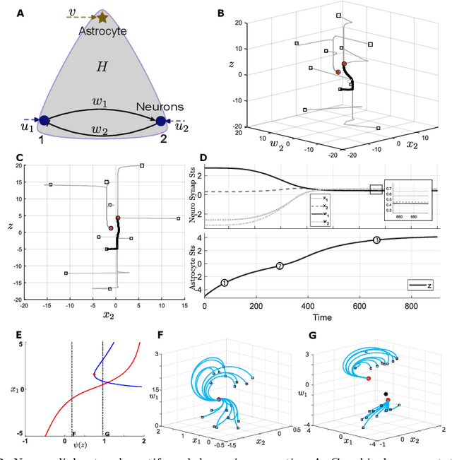 Figure 2 for Astrocytes as a mechanism for meta-plasticity and contextually-guided network function