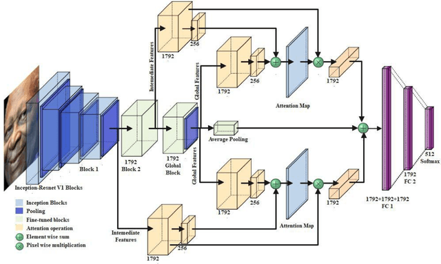 Figure 1 for Improving Bias in Facial Attribute Classification: A Combined Impact of KL Divergence induced Loss Function and Dual Attention