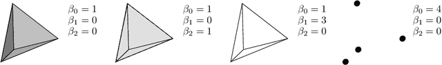 Figure 4 for MANTRA: The Manifold Triangulations Assemblage