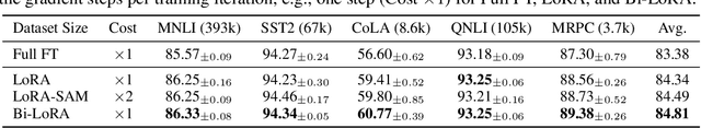 Figure 2 for Bi-LoRA: Efficient Sharpness-Aware Minimization for Fine-Tuning Large-Scale Models