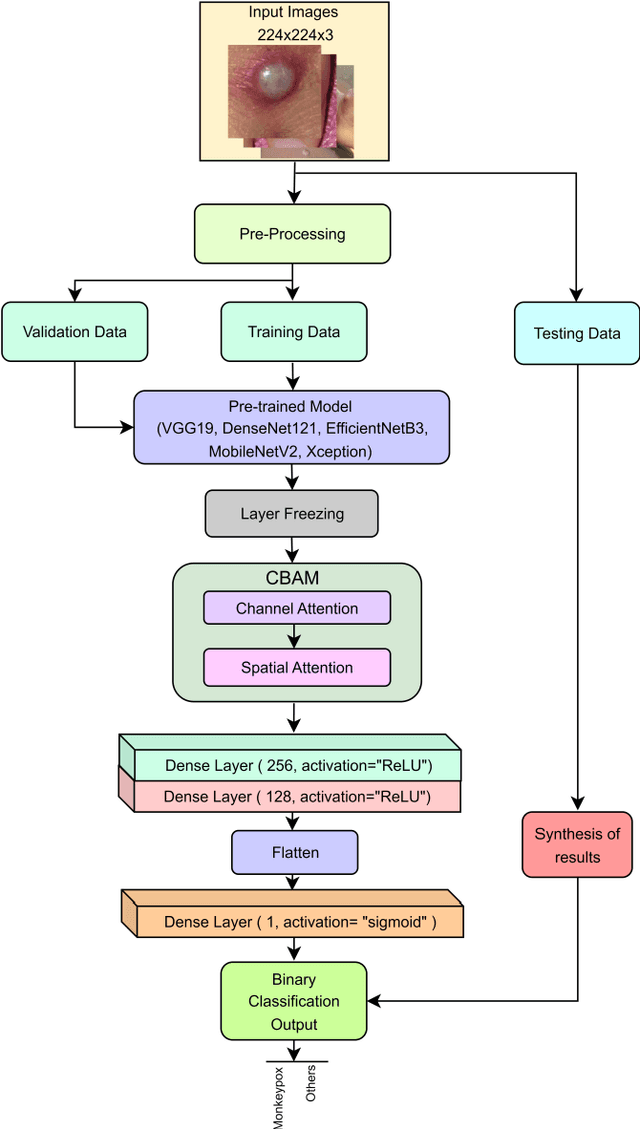 Figure 1 for Classification of Human Monkeypox Disease Using Deep Learning Models and Attention Mechanisms