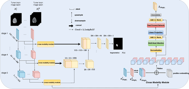 Figure 2 for Fed-MUnet: Multi-modal Federated Unet for Brain Tumor Segmentation