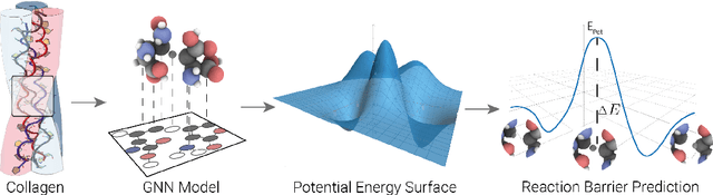Figure 1 for Learning Potential Energy Surfaces of Hydrogen Atom Transfer Reactions in Peptides