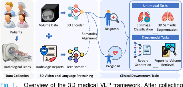 Figure 1 for MG-3D: Multi-Grained Knowledge-Enhanced 3D Medical Vision-Language Pre-training