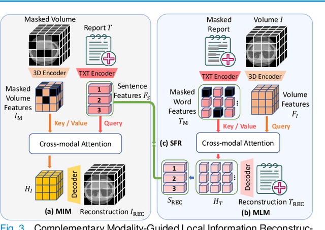 Figure 3 for MG-3D: Multi-Grained Knowledge-Enhanced 3D Medical Vision-Language Pre-training