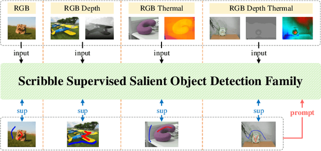 Figure 1 for SSFam: Scribble Supervised Salient Object Detection Family