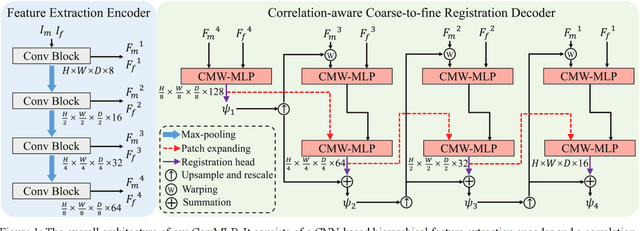 Figure 1 for Correlation-aware Coarse-to-fine MLPs for Deformable Medical Image Registration