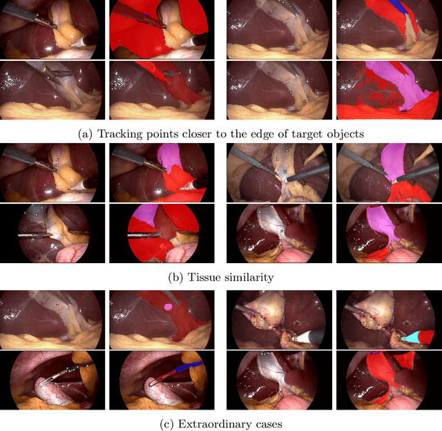 Figure 3 for When Tracking Fails: Analyzing Failure Modes of SAM2 for Point-Based Tracking in Surgical Videos
