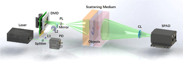Figure 1 for Single picture single photon single pixel 3D imaging through unknown thick scattering medium