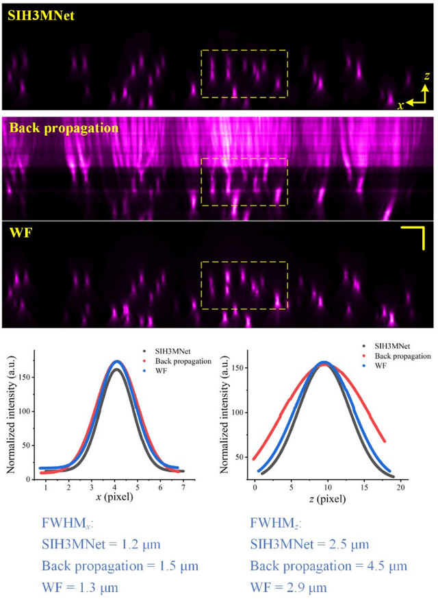 Figure 4 for Three-dimensional neural network driving self-interference digital holography enables high-fidelity, non-scanning volumetric fluorescence microscopy