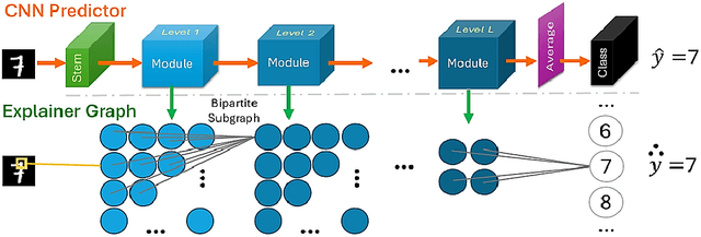 Figure 1 for Learning local discrete features in explainable-by-design convolutional neural networks