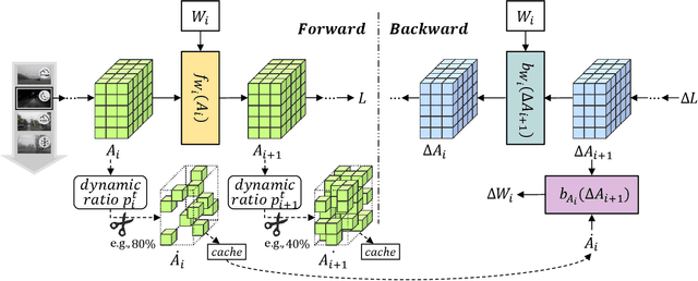 Figure 3 for SURGEON: Memory-Adaptive Fully Test-Time Adaptation via Dynamic Activation Sparsity