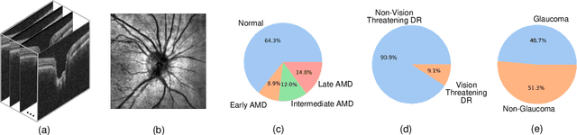 Figure 3 for Harvard Eye Fairness: A Large-Scale 3D Imaging Dataset for Equitable Eye Diseases Screening and Fair Identity Scaling