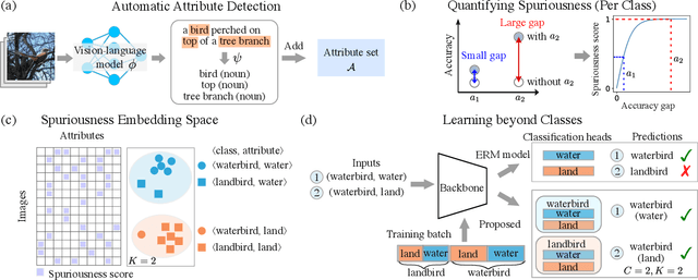 Figure 1 for Learning Robust Classifiers with Self-Guided Spurious Correlation Mitigation