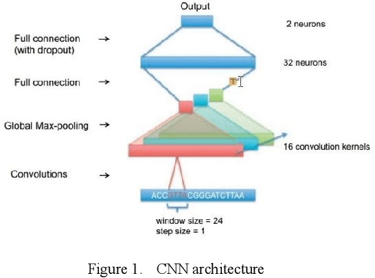 Figure 1 for A Protein Structure Prediction Approach Leveraging Transformer and CNN Integration