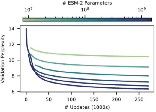 Figure 2 for A Protein Structure Prediction Approach Leveraging Transformer and CNN Integration