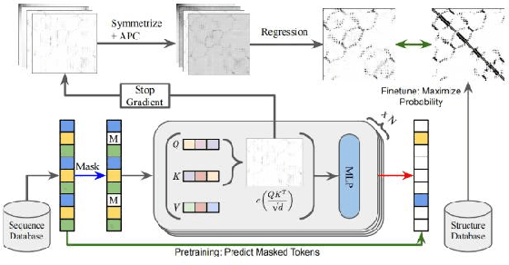 Figure 4 for A Protein Structure Prediction Approach Leveraging Transformer and CNN Integration