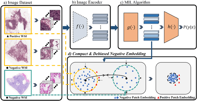 Figure 1 for Compact and De-biased Negative Instance Embedding for Multi-Instance Learning on Whole-Slide Image Classification