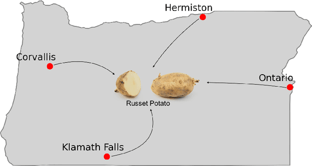 Figure 1 for Predictive Analytics of Varieties of Potatoes